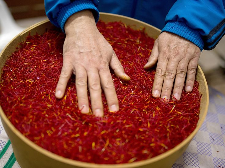 Premium Saffron for African Governments; The Reliable Choice for Public Sector Supply